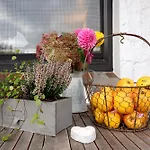 Haus Lith Deichblick Apartament *